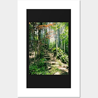 Steps in a Japanese Bamboo Forest Posters and Art